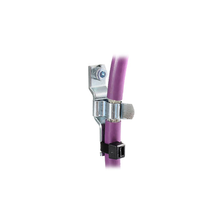 36253 - image 2