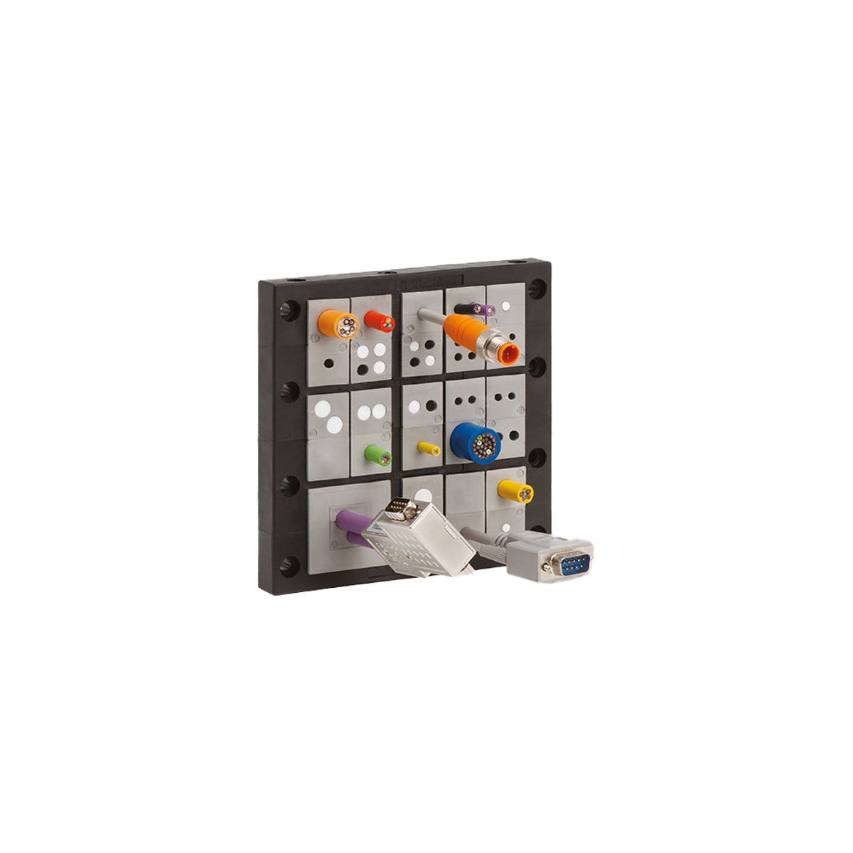 42209 - image 2
