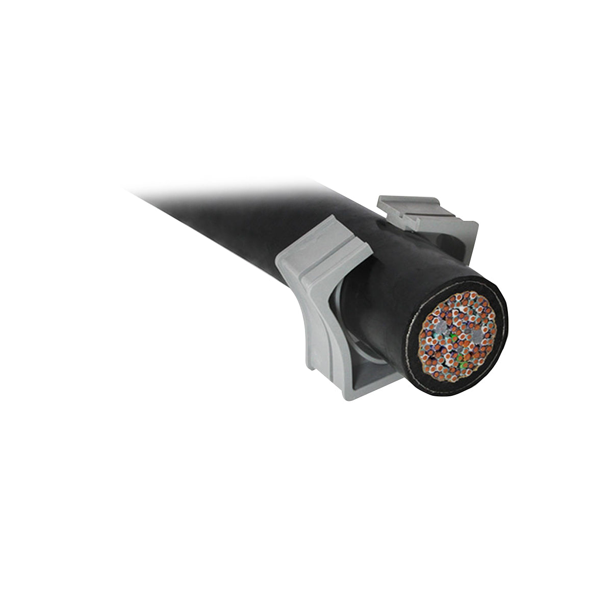 42388 - image 2