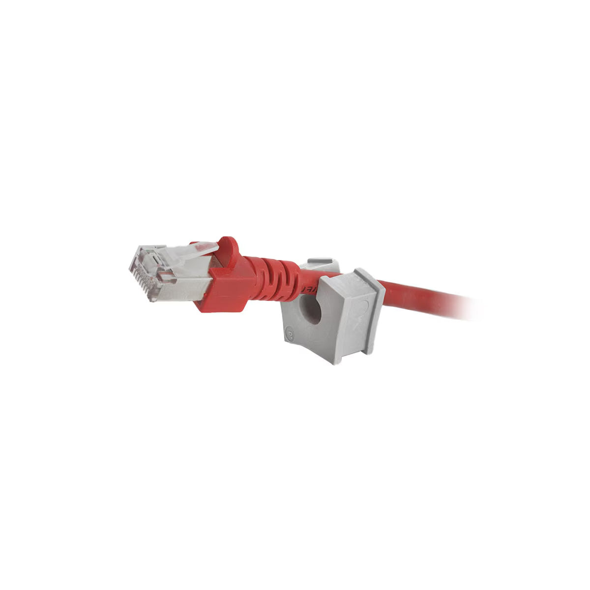 42507 - image 2