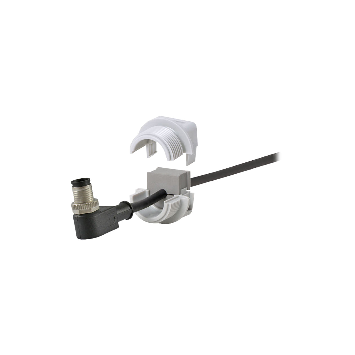 45695 - image 2