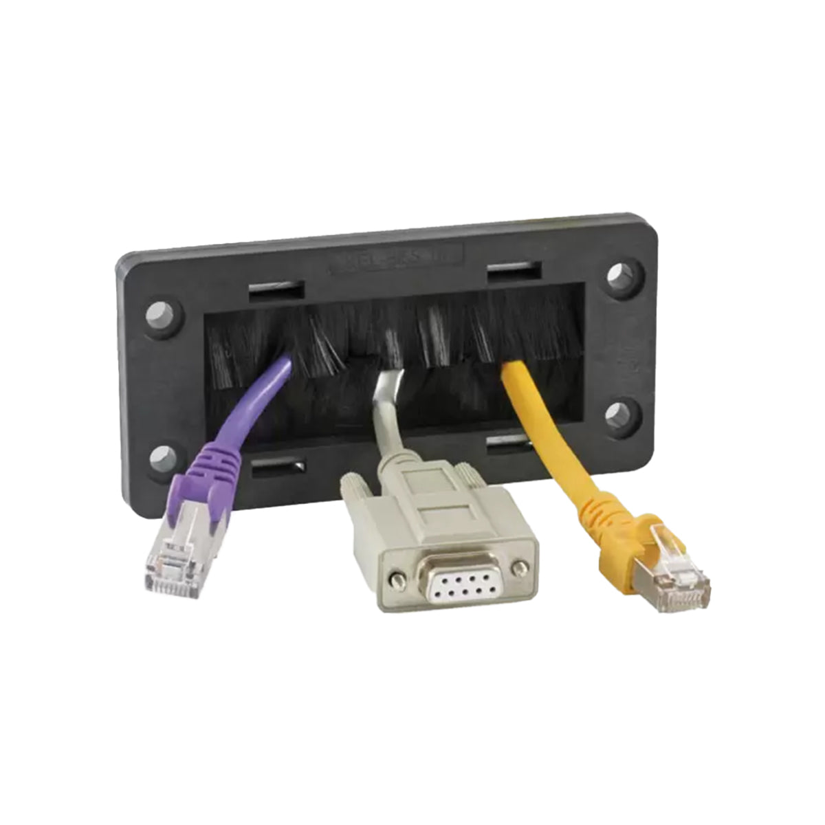51510 - image 2
