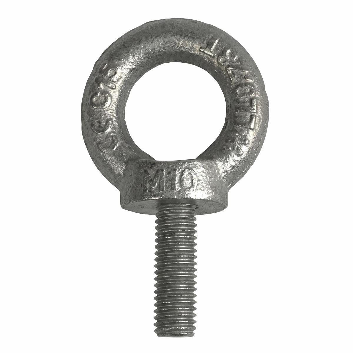 M10 Lifting Eyebolt with Washer — IP Enclosures