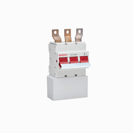 R-I3-250 - image 2